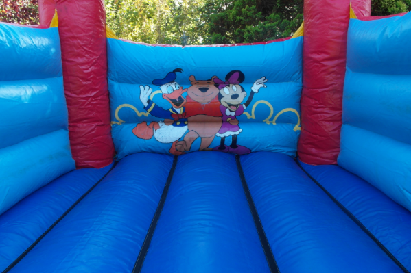 Disney Bouncy Castle large 2