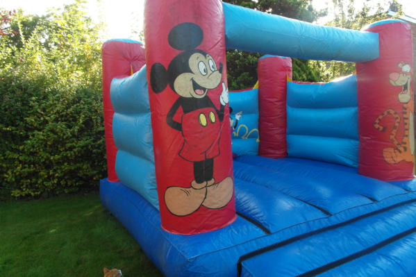 Disney Bouncy Castle large 9