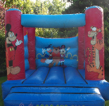 Disney Bouncy Castle