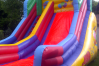 Jungle Slide small 4