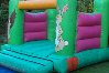 Woodland bouncy castle small 3