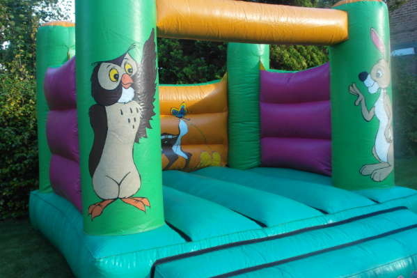 Woodland bouncy castle large 7