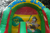 Jungle Slide small 5