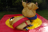 Sumo Suits bouncy castle hire small 1