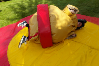 Sumo Suits bouncy castle hire small 2