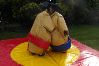Sumo Suits bouncy castle hire small 7