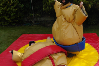 Sumo Suits bouncy castle hire small 8
